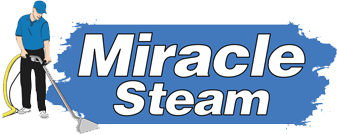 Miracle Steam