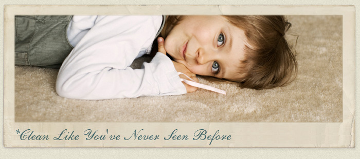 Water Damage Recovery, Carpet Cleaning, Oriental Rug Repair and Cleaning Care, Pet Stains Furniture Cleaning, Air Duct Cleaning, Tile & Grout Cleaning, Mattress Cleaning