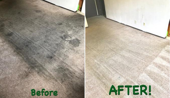 Commercial Carpet Cleaning In Bedford Tx