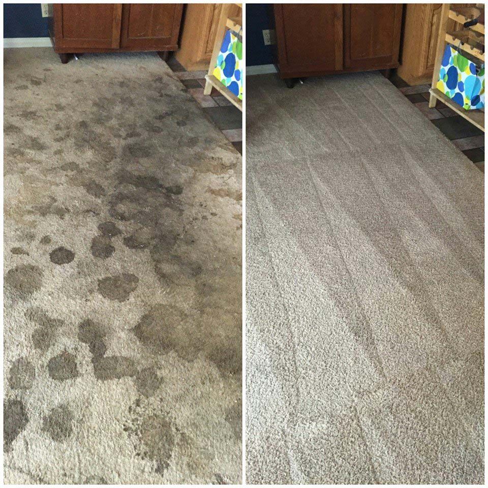 carpet cleaning in irving