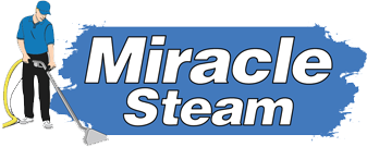Miracle Steam Logo