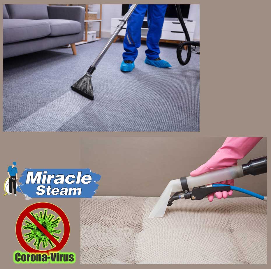 carpet sanitizing in Irving Texas
