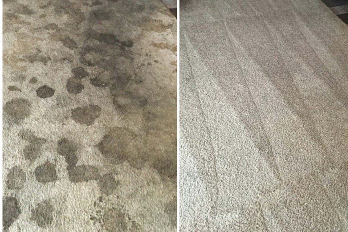 Add Carpet Cleaning To Your Spring Cleaning List
