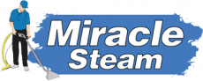 Miracle Steam